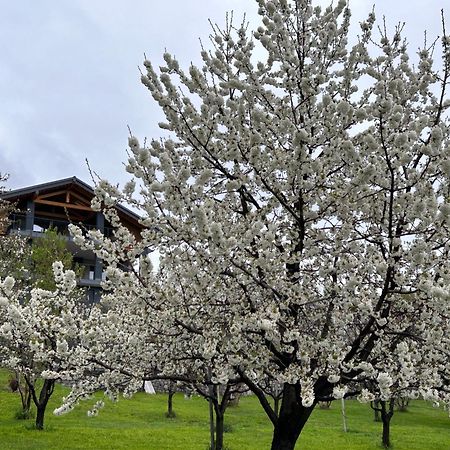 Affittacamere Verger Plein Soleil Saint-Pierre Exteriér fotografie