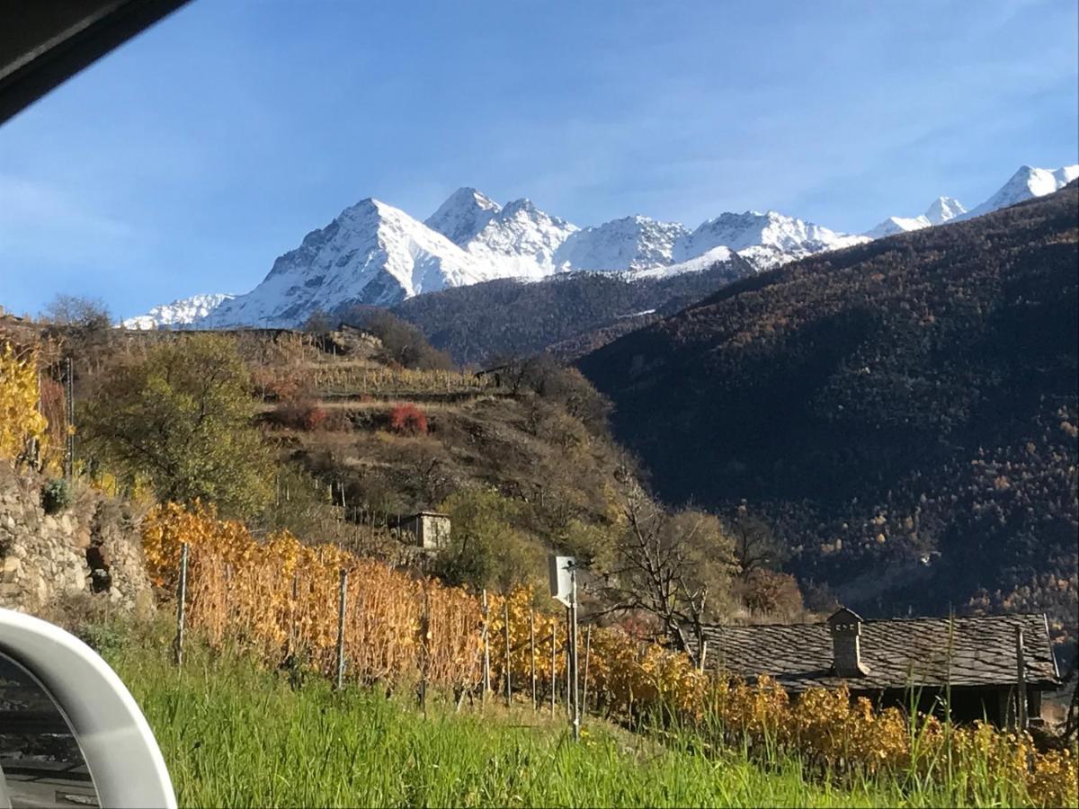 Affittacamere Verger Plein Soleil Saint-Pierre Exteriér fotografie